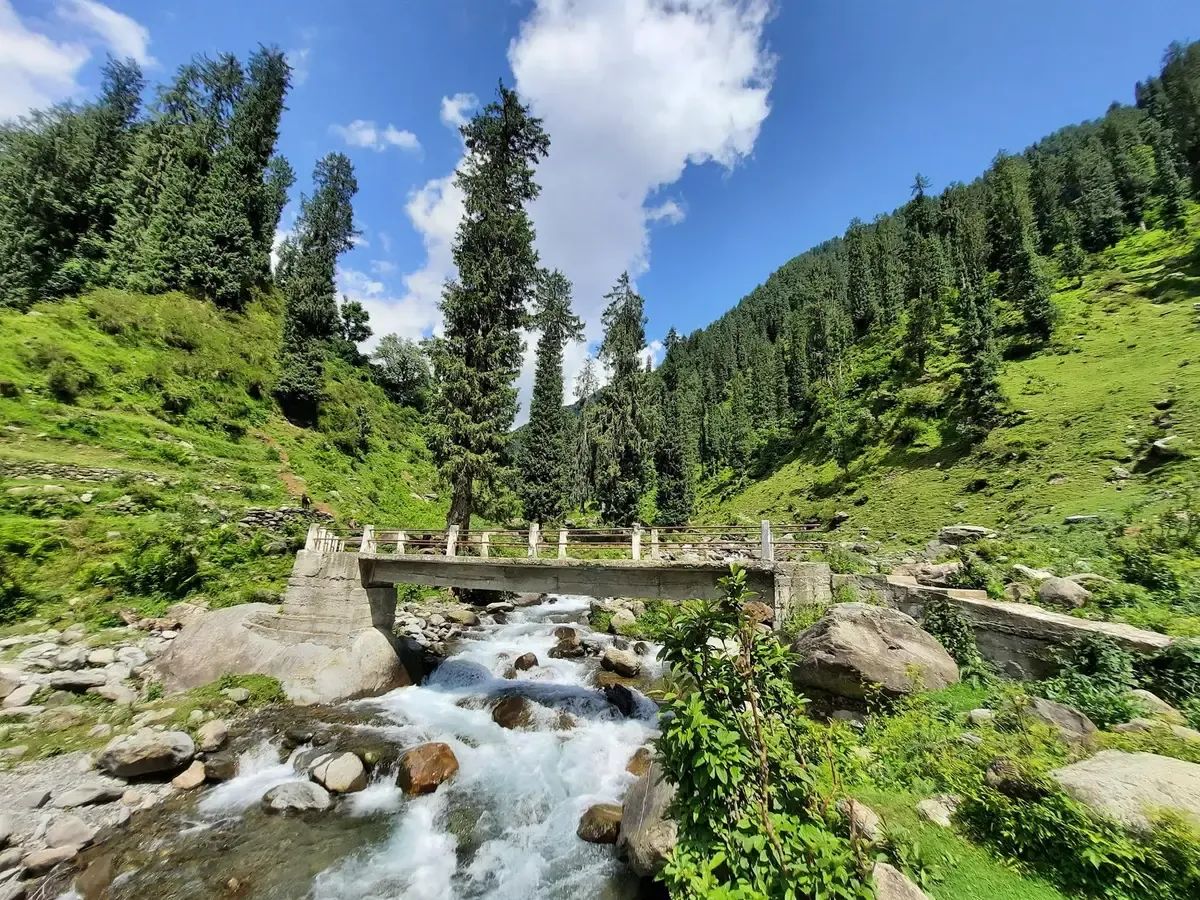 A low concrete footbridge crossing a stream running white over boulders, with tall deodars on the slope behind and steep green hillsides either side.