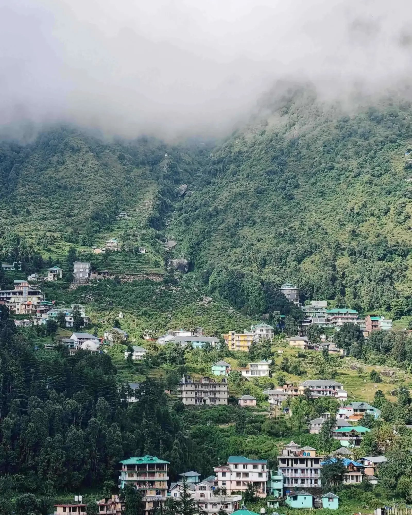 Houses packed onto a steep forested hillside with mist coming down over the ridge above them.