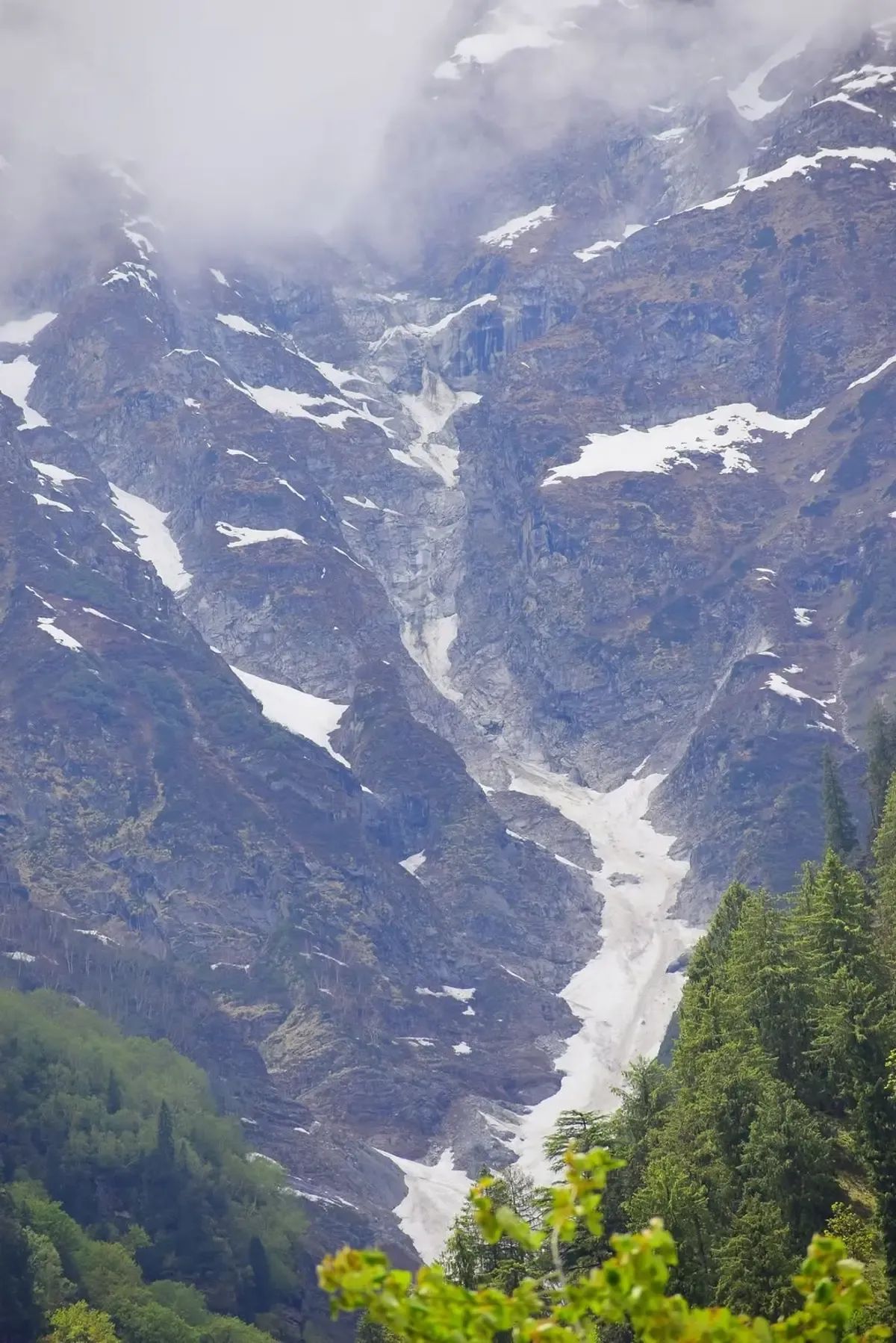 A snow-streaked rock face rising into low cloud above a dark conifer forest, with a broad avalanche runout of old snow spilling down a gully in the middle of the frame.