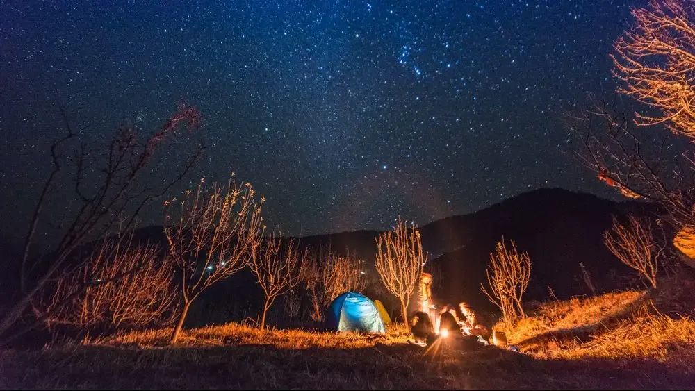 A campfire burning on open ground with a small lit tent beside it and bare branches around, under a night sky full of stars.